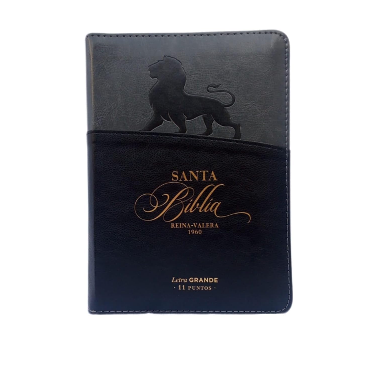 Biblia RVR60/045czti/LG/PJR Exprésate/León