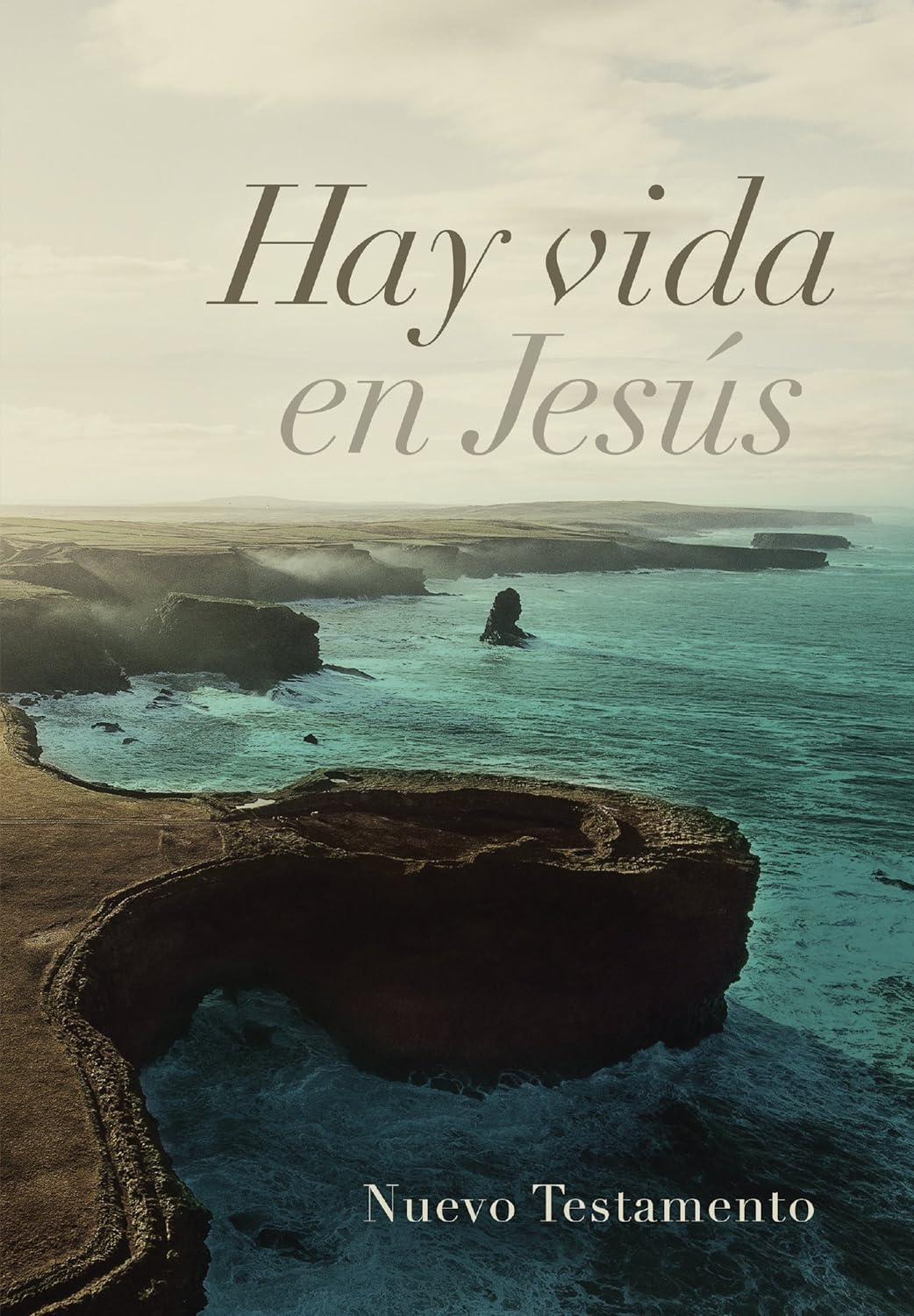 Nuevo Testamento: Hay vida en Jesús