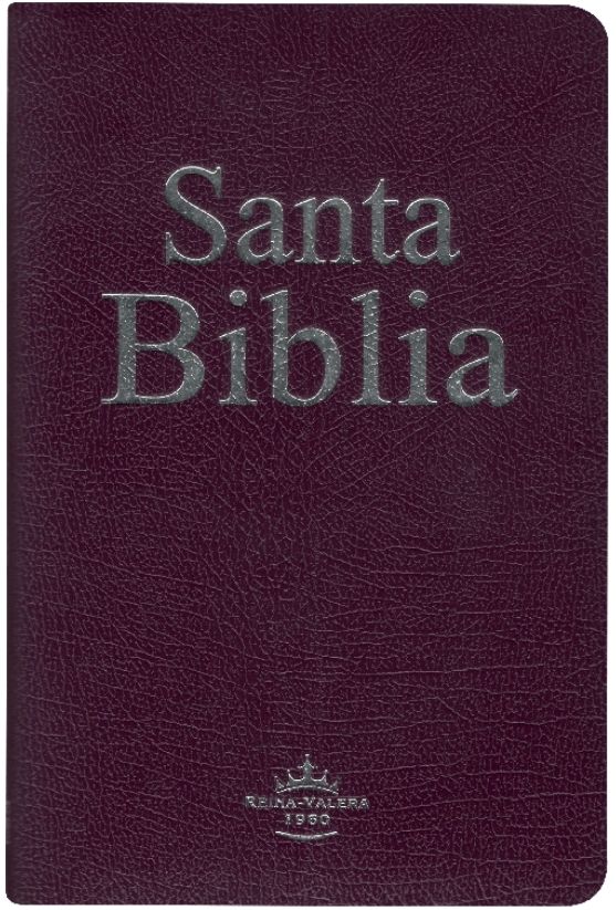 Biblia RVR1960 065e Lila