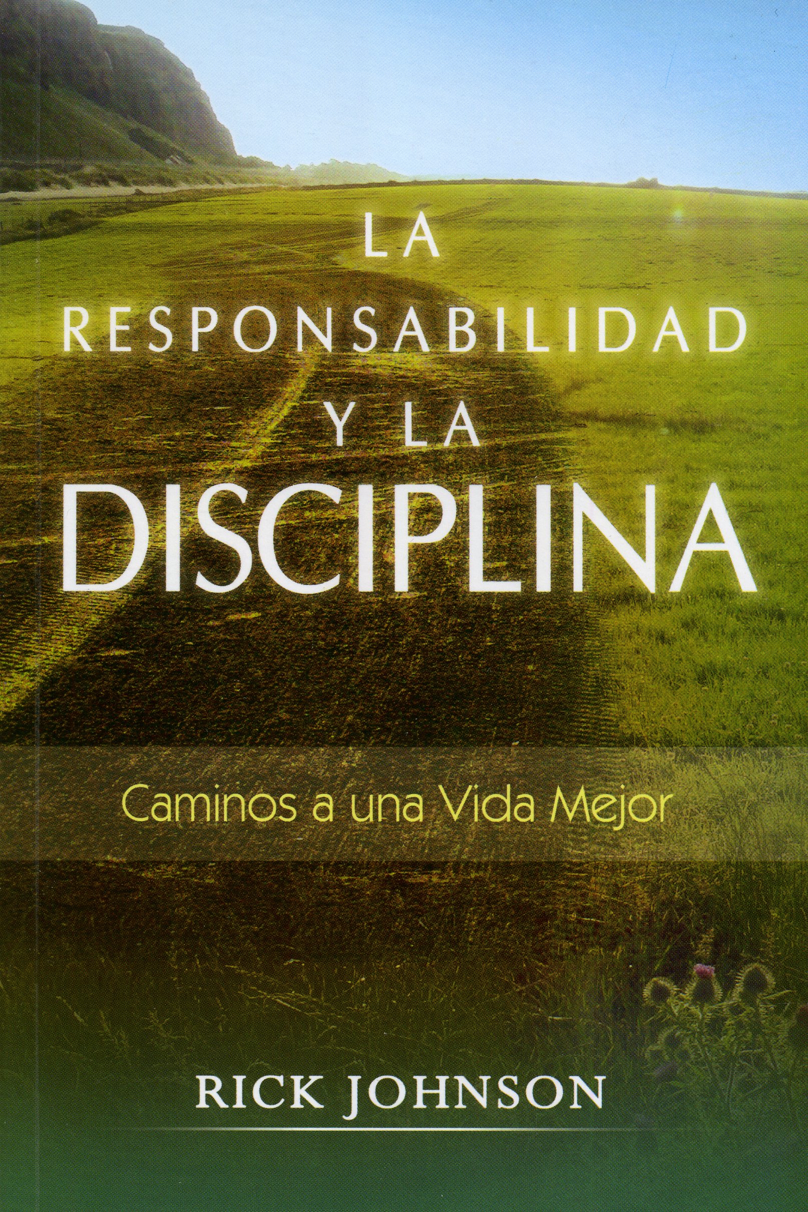 Responsabilidad Y La Disciplina